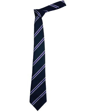 Harris Academy Purley Tie - Purple (Yrs 9-11)